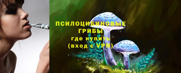 ГАЛЛЮЦИНОГЕННЫЕ ГРИБЫ Арсеньев