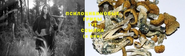 ГАЛЛЮЦИНОГЕННЫЕ ГРИБЫ Арсеньев