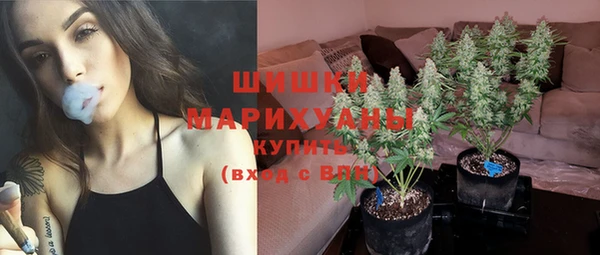 ГАЛЛЮЦИНОГЕННЫЕ ГРИБЫ Арсеньев