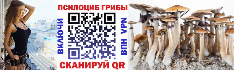 Псилоцибиновые грибы Magic Shrooms Лесозаводск